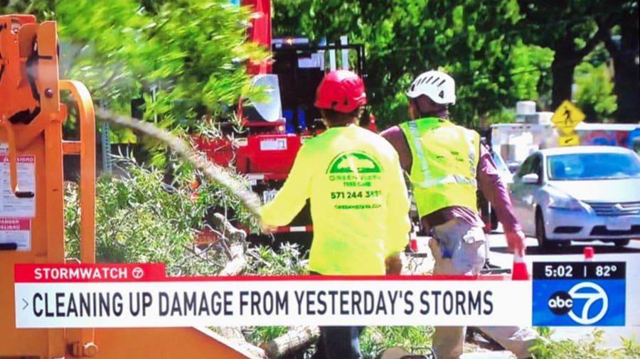 Green Vista Tree Care crews in northern Virginia cleaning up storm damage on ABC 7 TV coverage