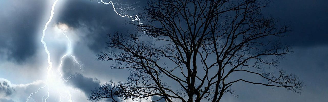 lightning hitting tree - need insurance