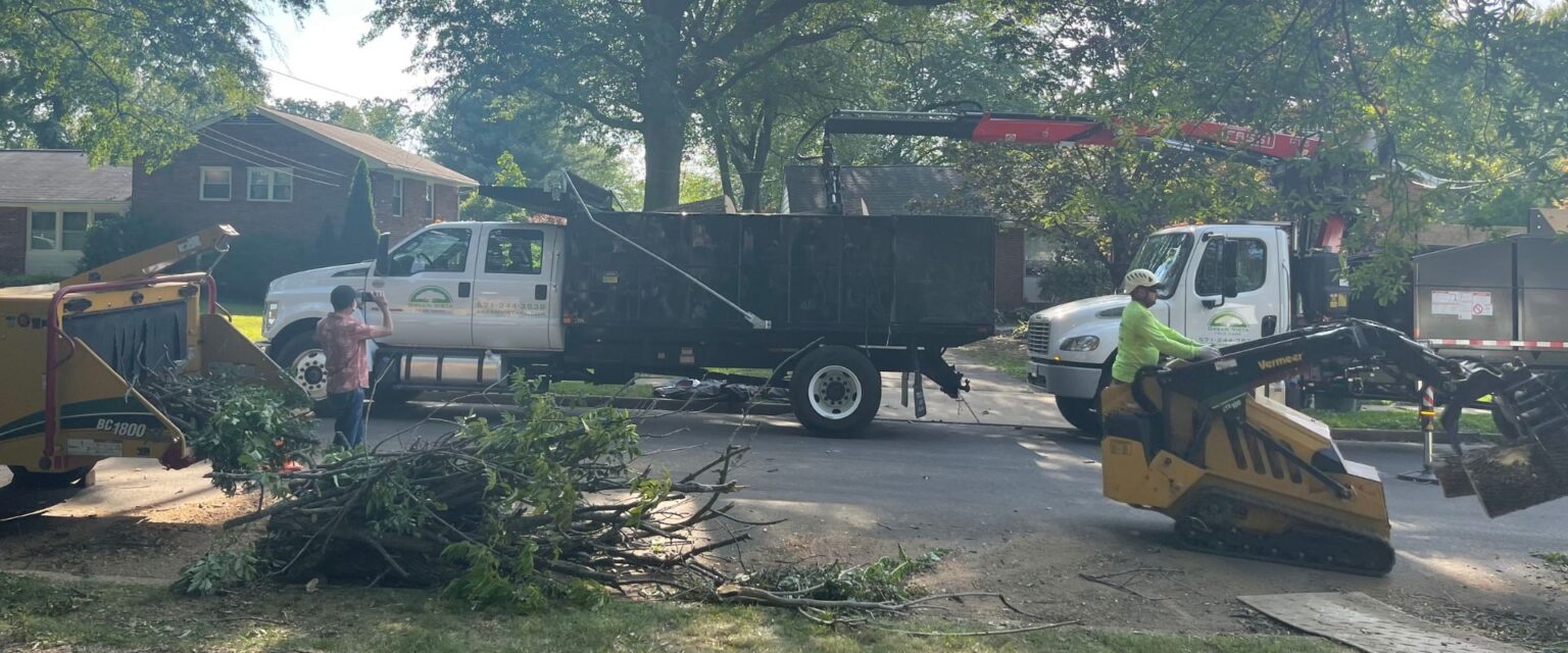 Vienna, VA Tree Service Tree & Stump Removal, Pruning/Trimming