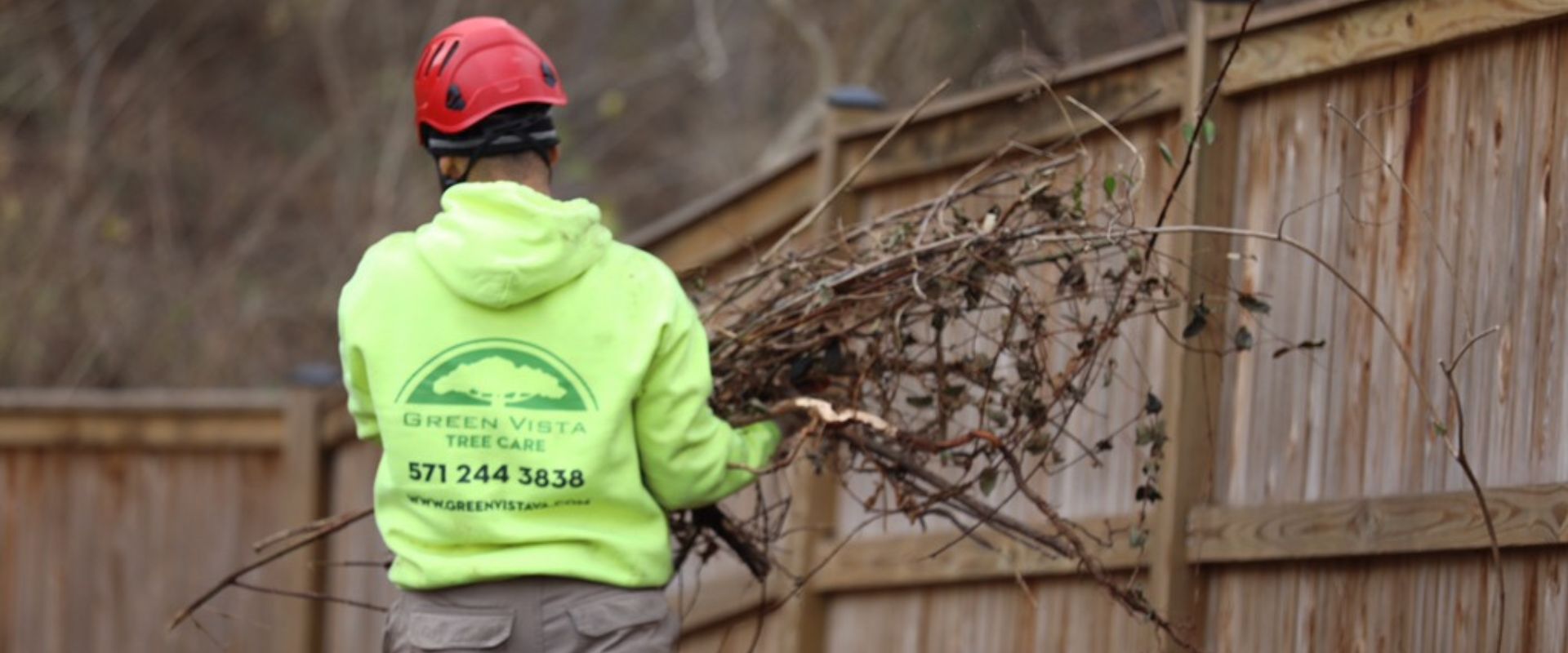GV-Local-Pages-Vienna-Pruning
