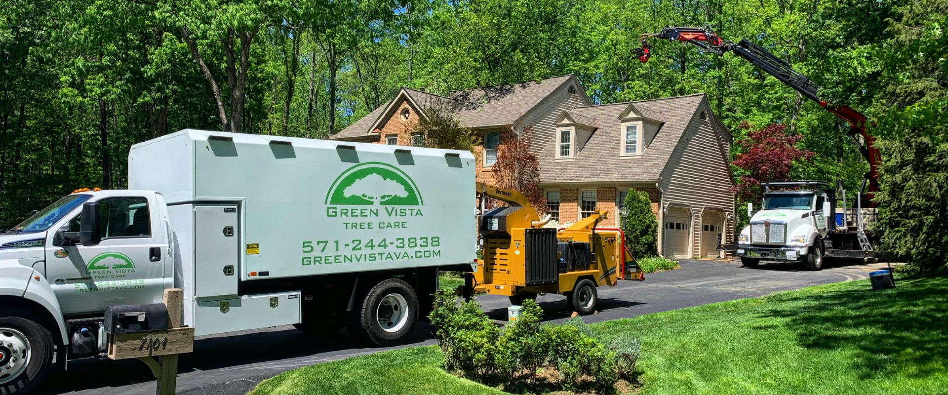 GV-Local-pages-Fairfax-Tree Removal