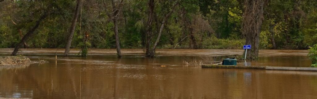 Northern Virginia trees damaged by flooding from a tropical storm.