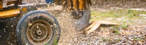 A stump grinder in an action shot grinding a stump.