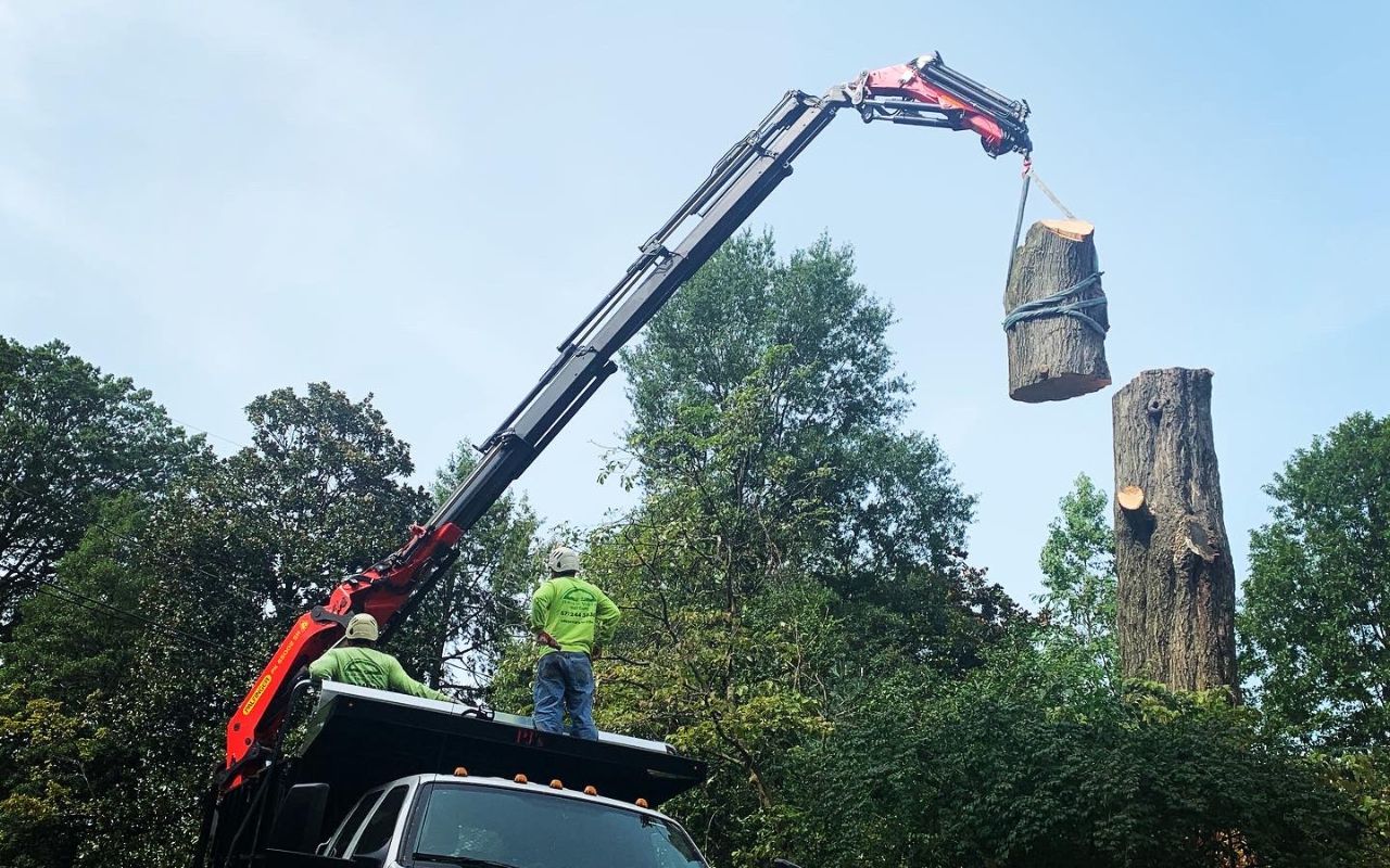The Green Vista team uses a grapple to remove a section of a tree from a Northern Virginia property.
