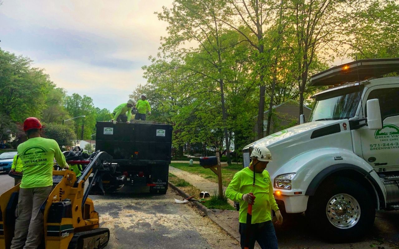 Green Vista ground crew working during a tree removal