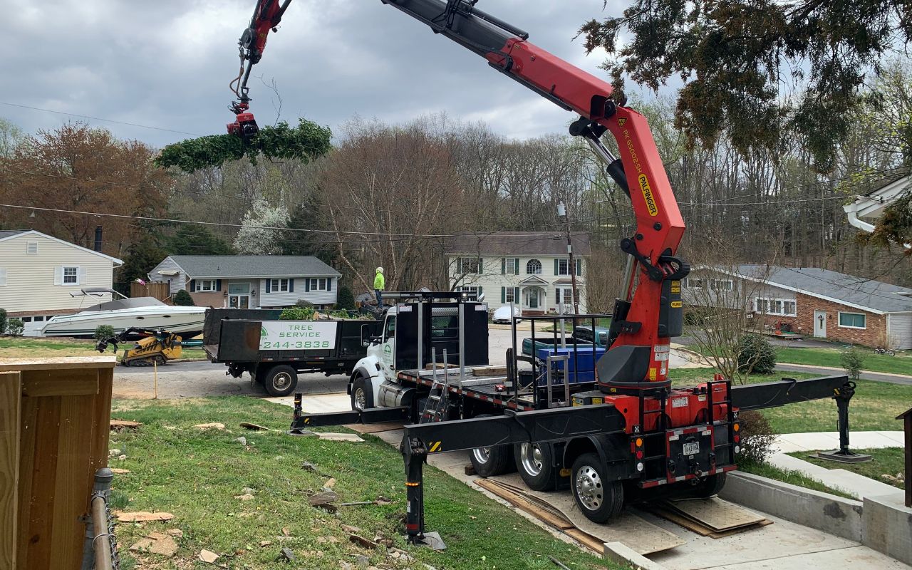 The Green Vista Tree Care crew removes a section of a tree using a crane that is balanced in a Northern Virginia driveway.