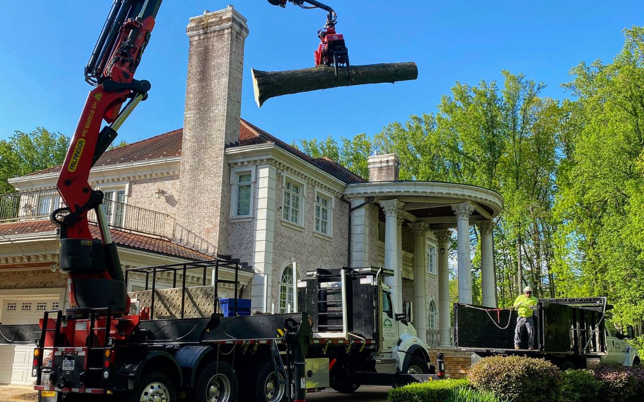 The Green Vista tree-mek crane lifts a log from a tree removal over a house in Northern Virginia.