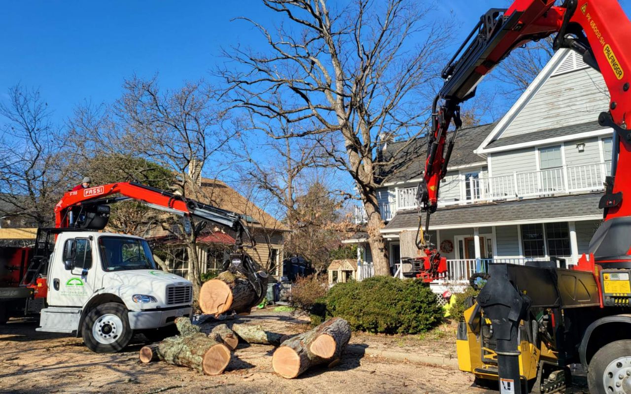 Some of the tree removal equipment used by Green Vista Tree Care to remove trees, including trees damaged by storms in Northern Virginia.