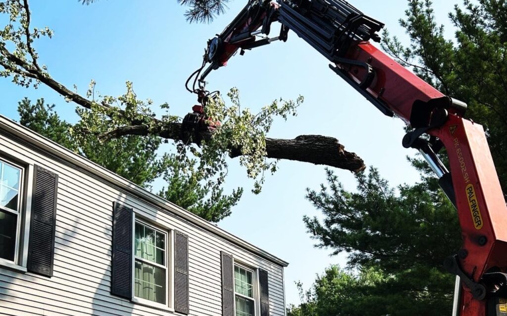 7 Benefits of a Remote-Control Tree Removal Crane for Removal Jobs in ...