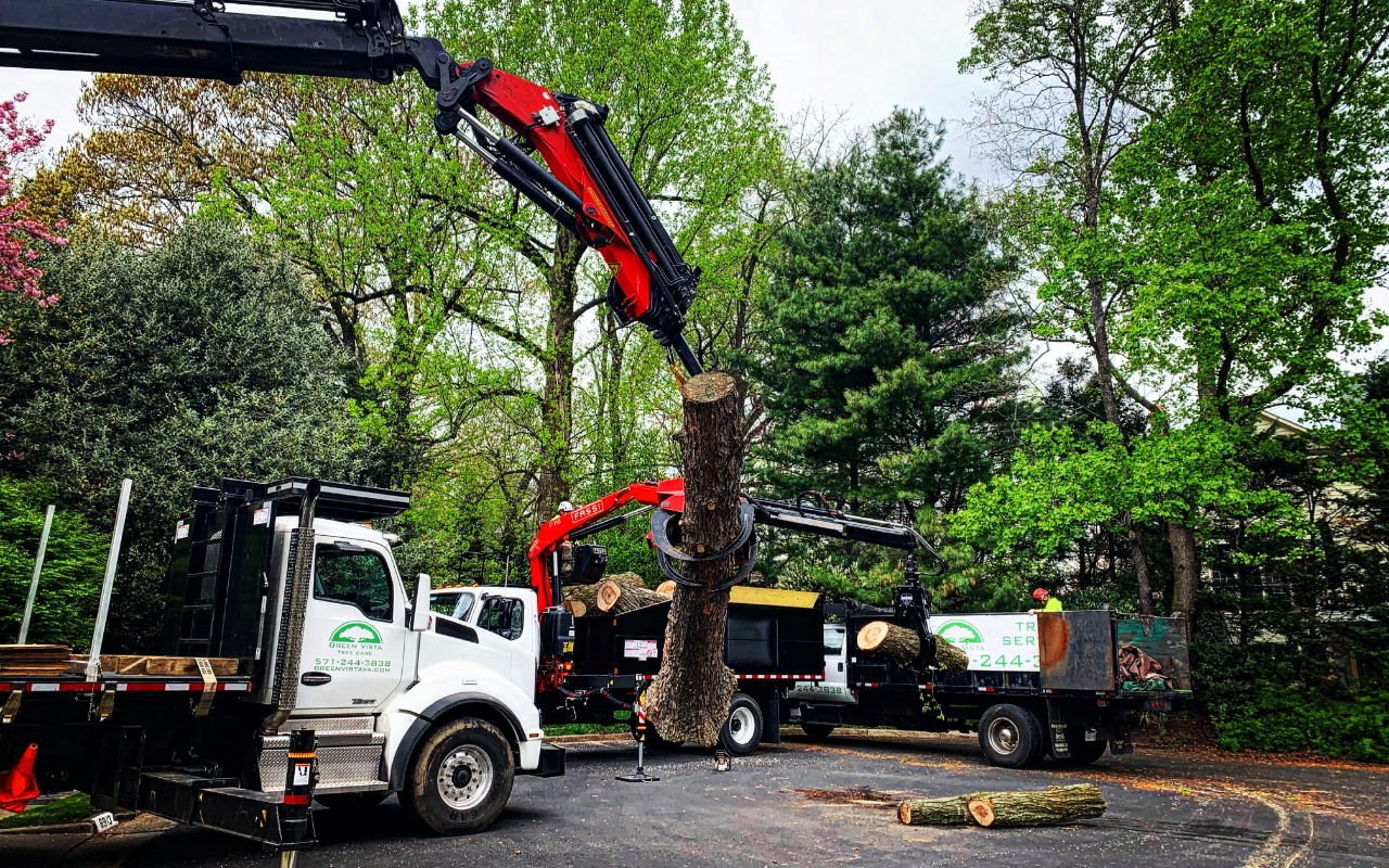 The Green Vista grapple saw placing a log in the staging area during dead tree removal in Arlington, VA.