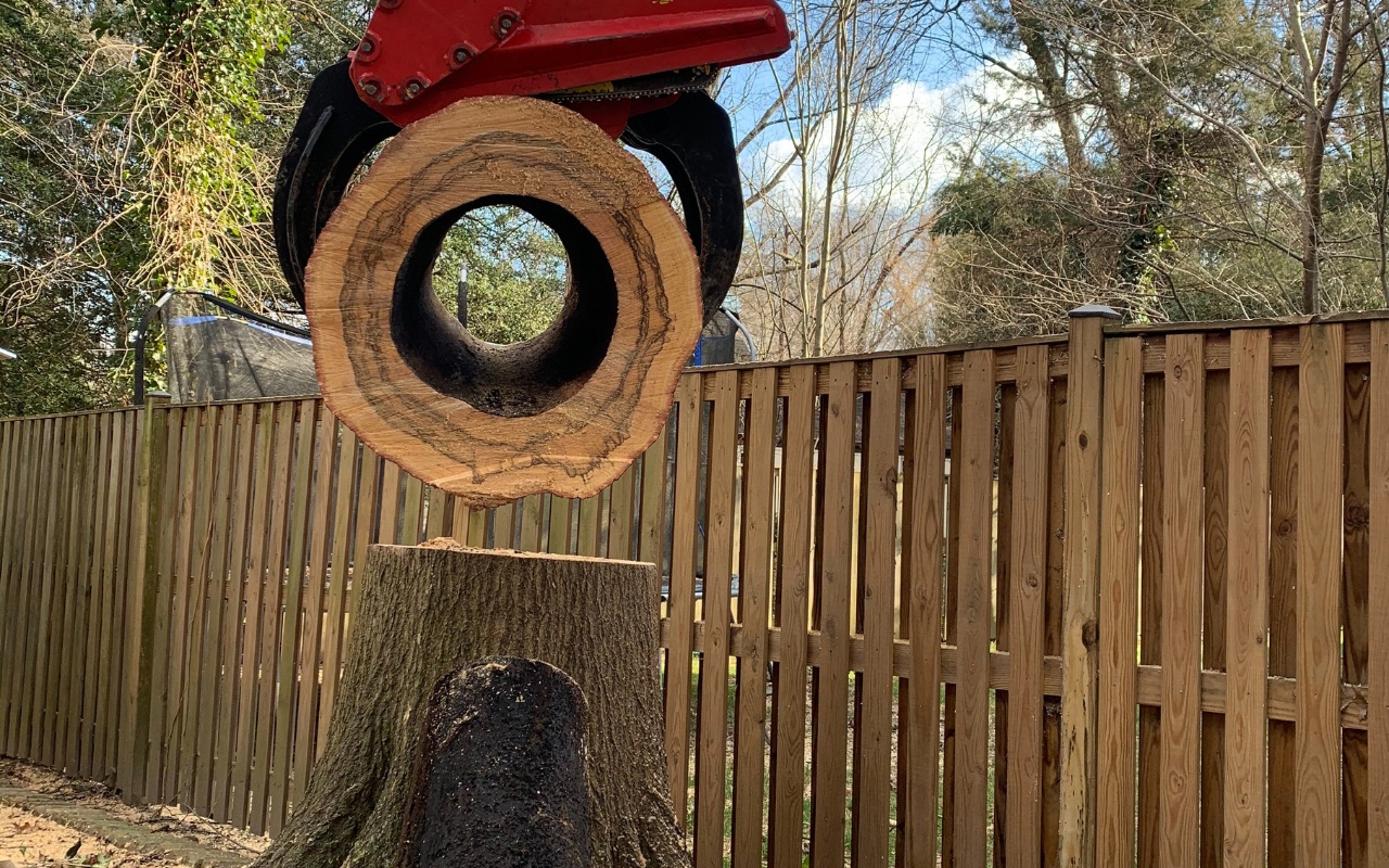 The Green Vista crane lifting the trunk of a dead tree near a fence during a tree removal in Fairfax Station, VA.