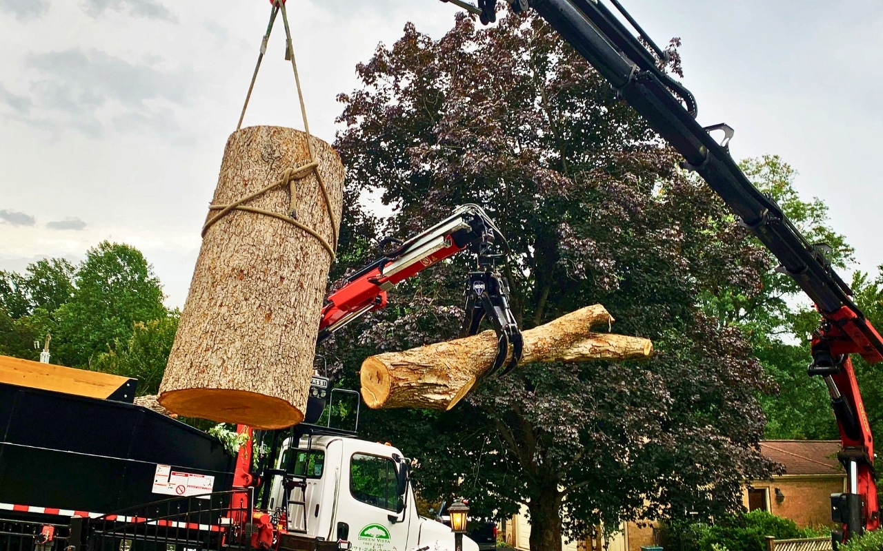 The Green Vista tree removal crane holding a log above a property while the team’s grapple saw in the background holds a large branch.