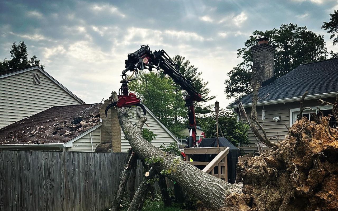 The Green Vista team loading logs onto a truck after a tree removal in Fairfax, VA.