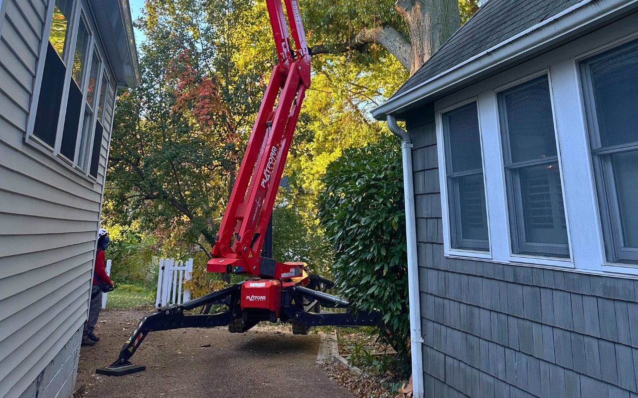 The Green Vista team using a spider lift to trim a tree that is growing too close to a house in Fairfax, VA.