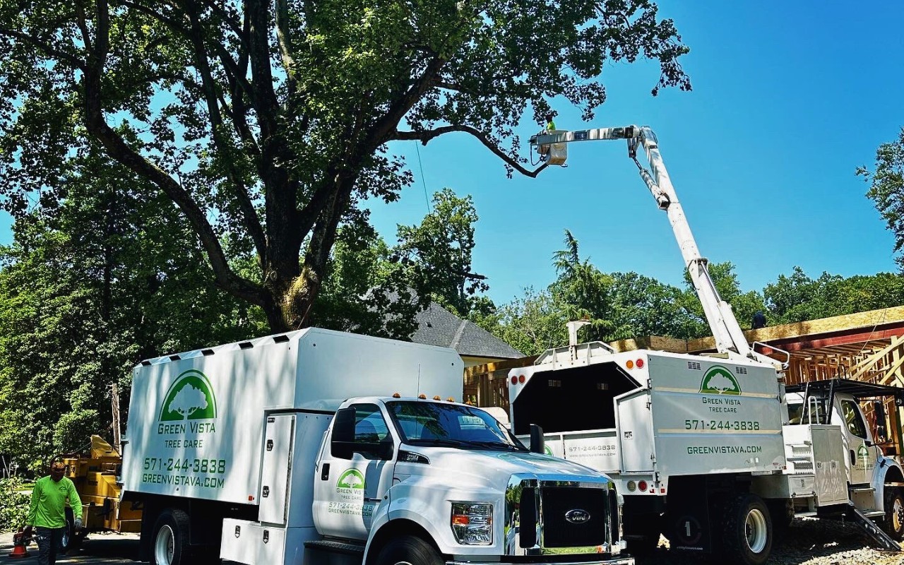 The Green Vista team trimming a tree in McLean, VA.