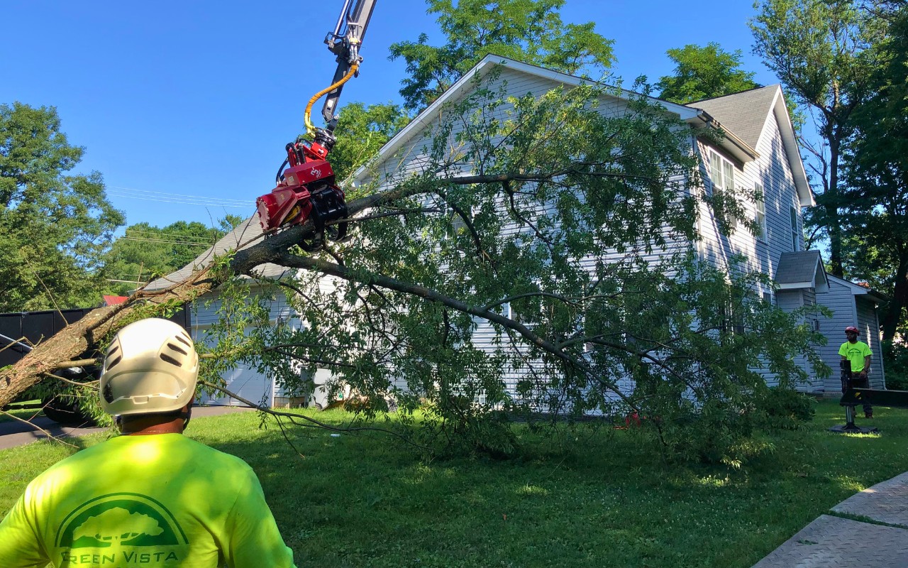The Green Vista team using a grapple saw to remove a tree that was killed by a drought in Alexandria, VA.