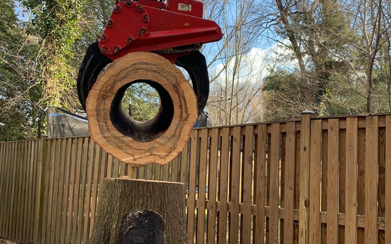 A piece of equipment grabs a tree trunk with internal decay in Fairfax Station, VA.