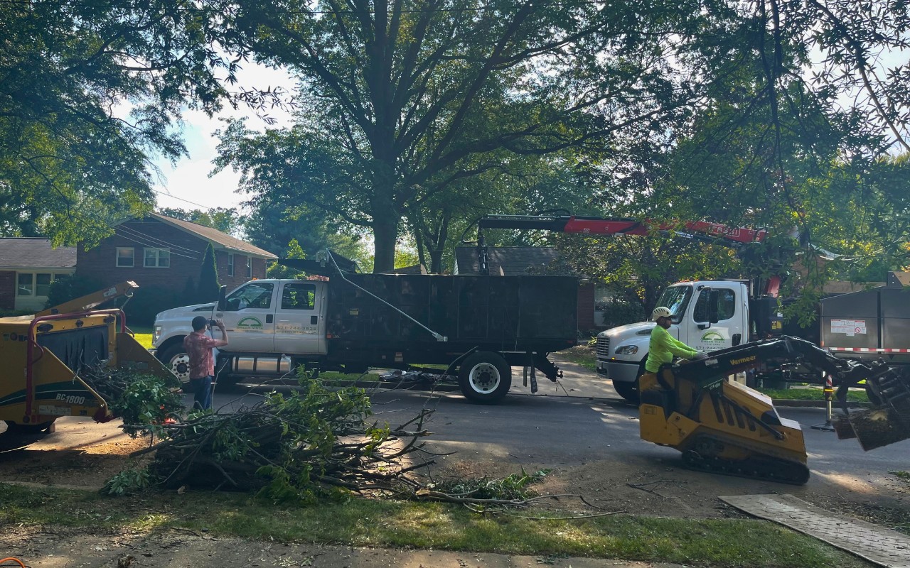The Green Vista grounds crew cleaning up debris after tree removal in Alexandria, VA.