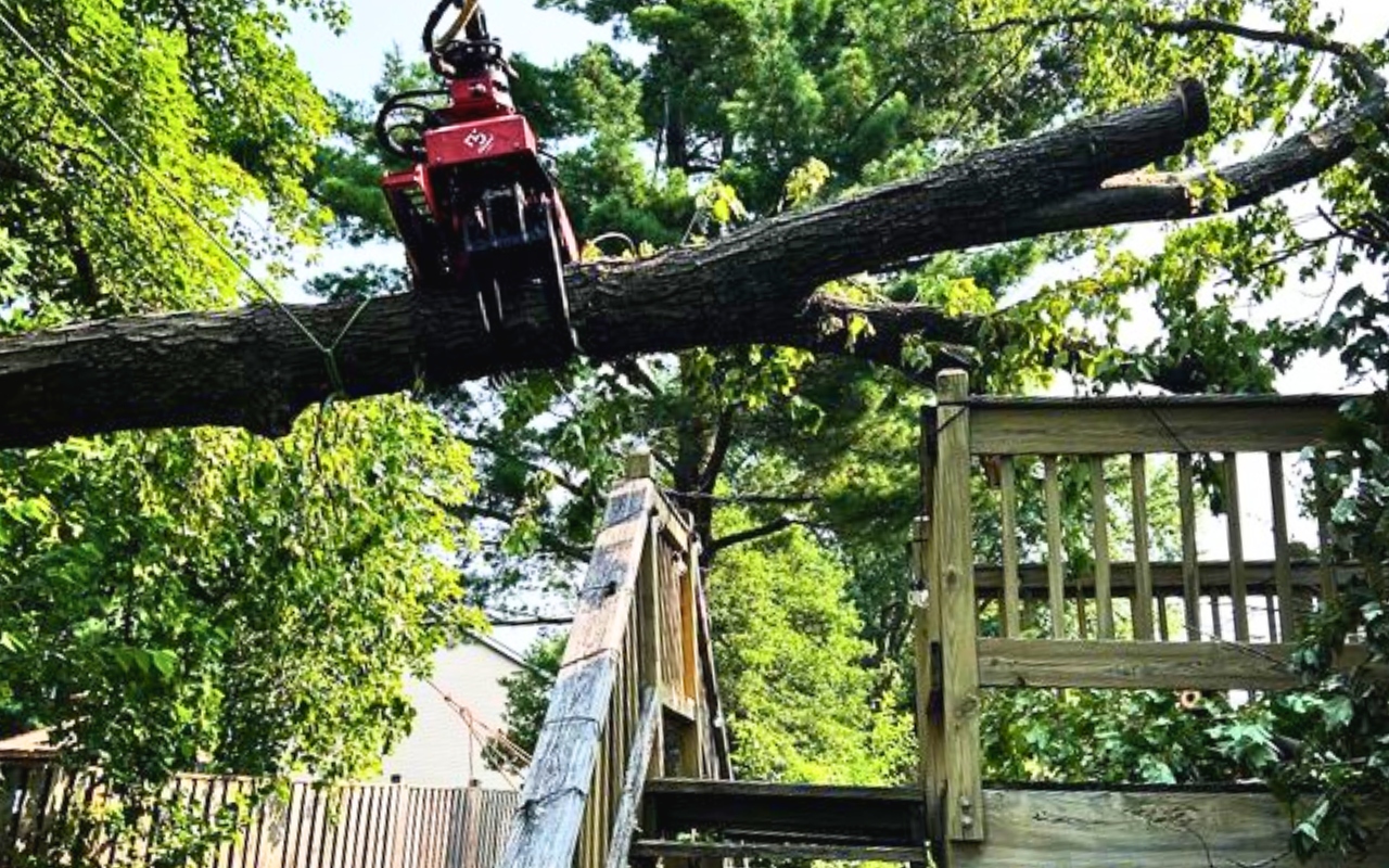 A professional tree removal crane with cutting attachment working on a large tree in Northern Virginia residential backyard.