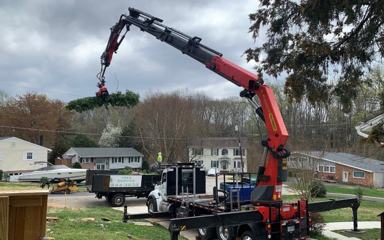 The Green Vista Tree Care remote-controlled crane removing a hazardous tree in a Northern Virginia residential neighborhood.