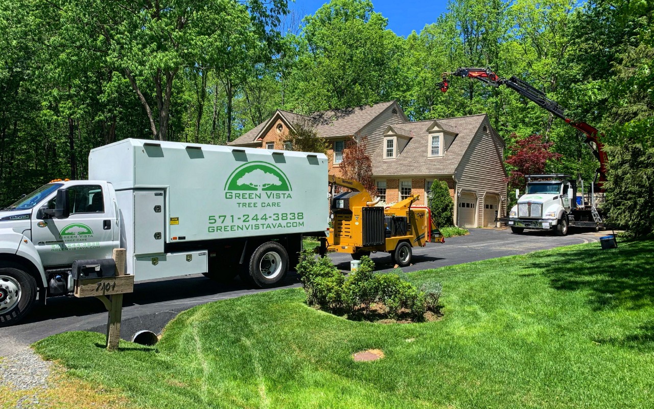 Green Vista Tree Care crew trucks, a wood chipper, and a grapple saw crane working on a tree removal job at a Northern Virginia home.