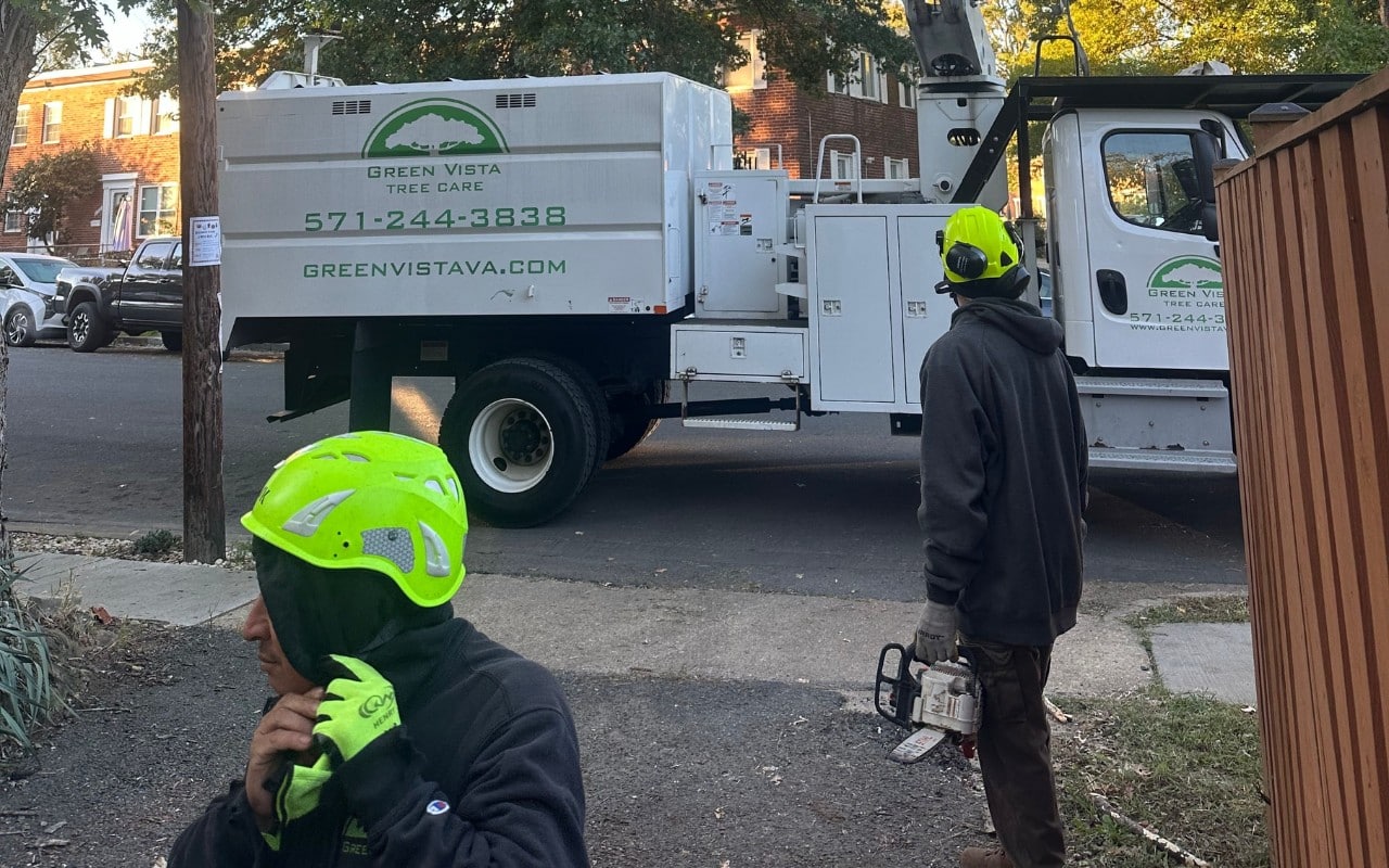 Green Vista Tree Care crew members in safety gear stand next to their professional tree service truck during a winter assessment.