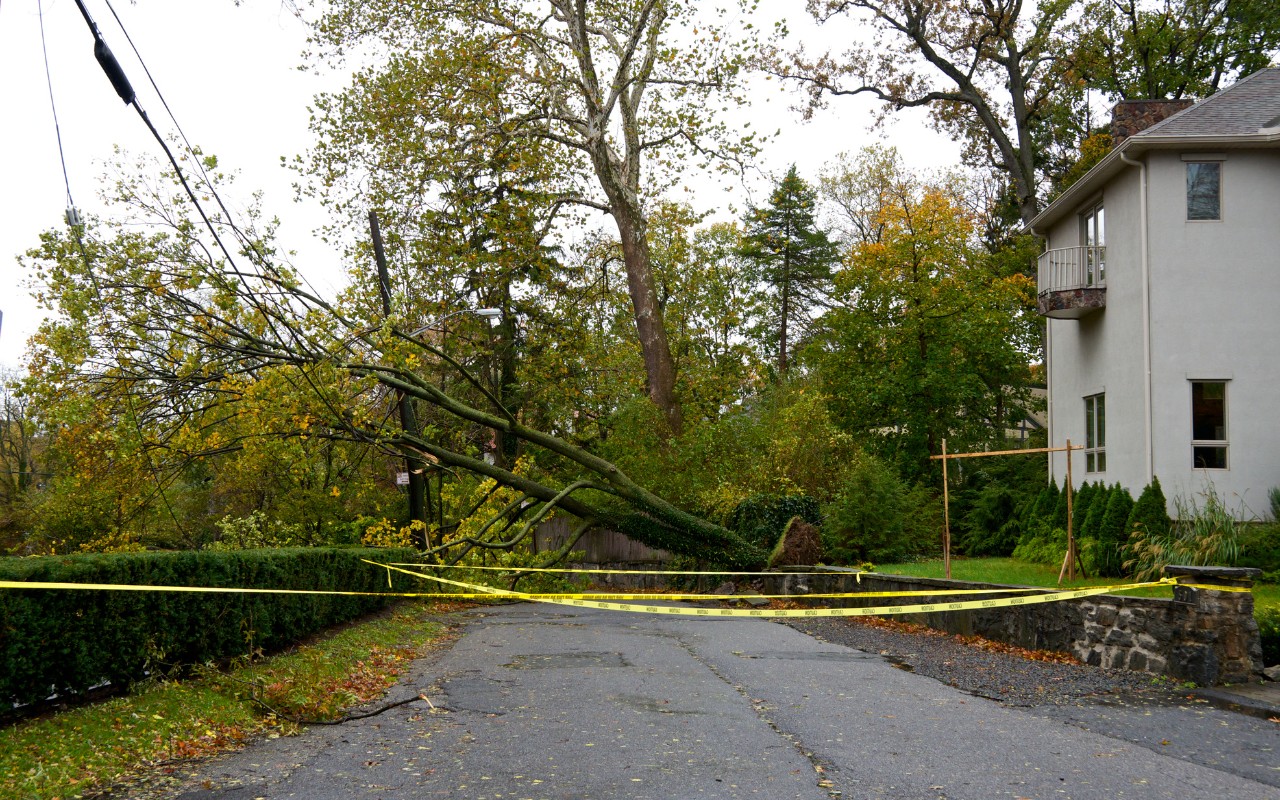 A fallen tree leans across a residential street into sagging overhead power lines, with yellow caution tape strung across the road to block access.