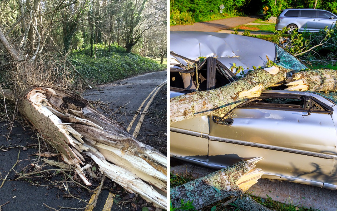 A split image showing a snapped tree trunk blocking a road on the left and a fallen limb that has crushed the roof and windshield of a parked car on the right.