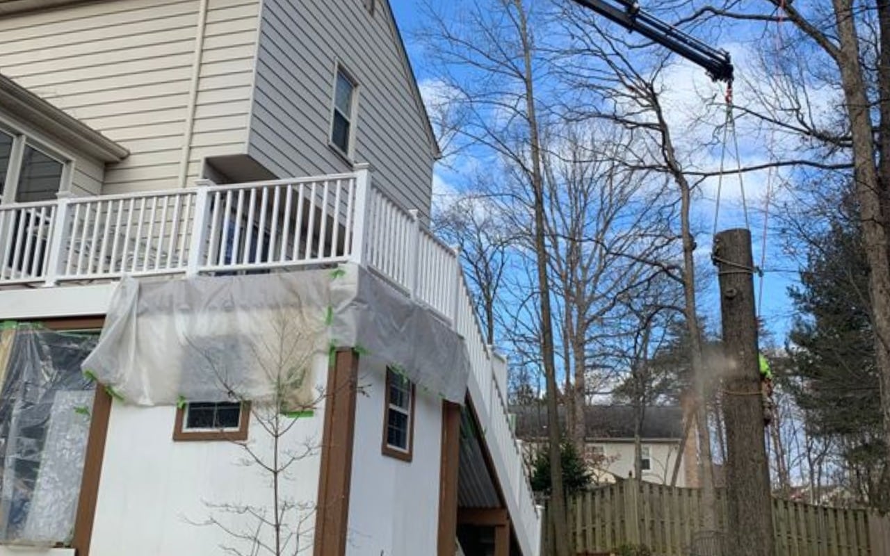 A dead tree trunk stands next to a residential home with protective sheeting, while a crane is positioned for tree removal.