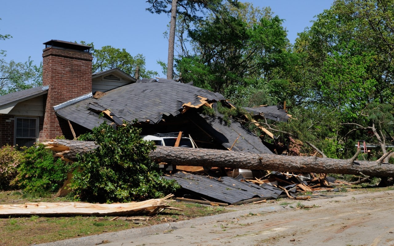 Large pine tree fallen across a single-story home, crushing the roof and damaging a vehicle in the driveway.
