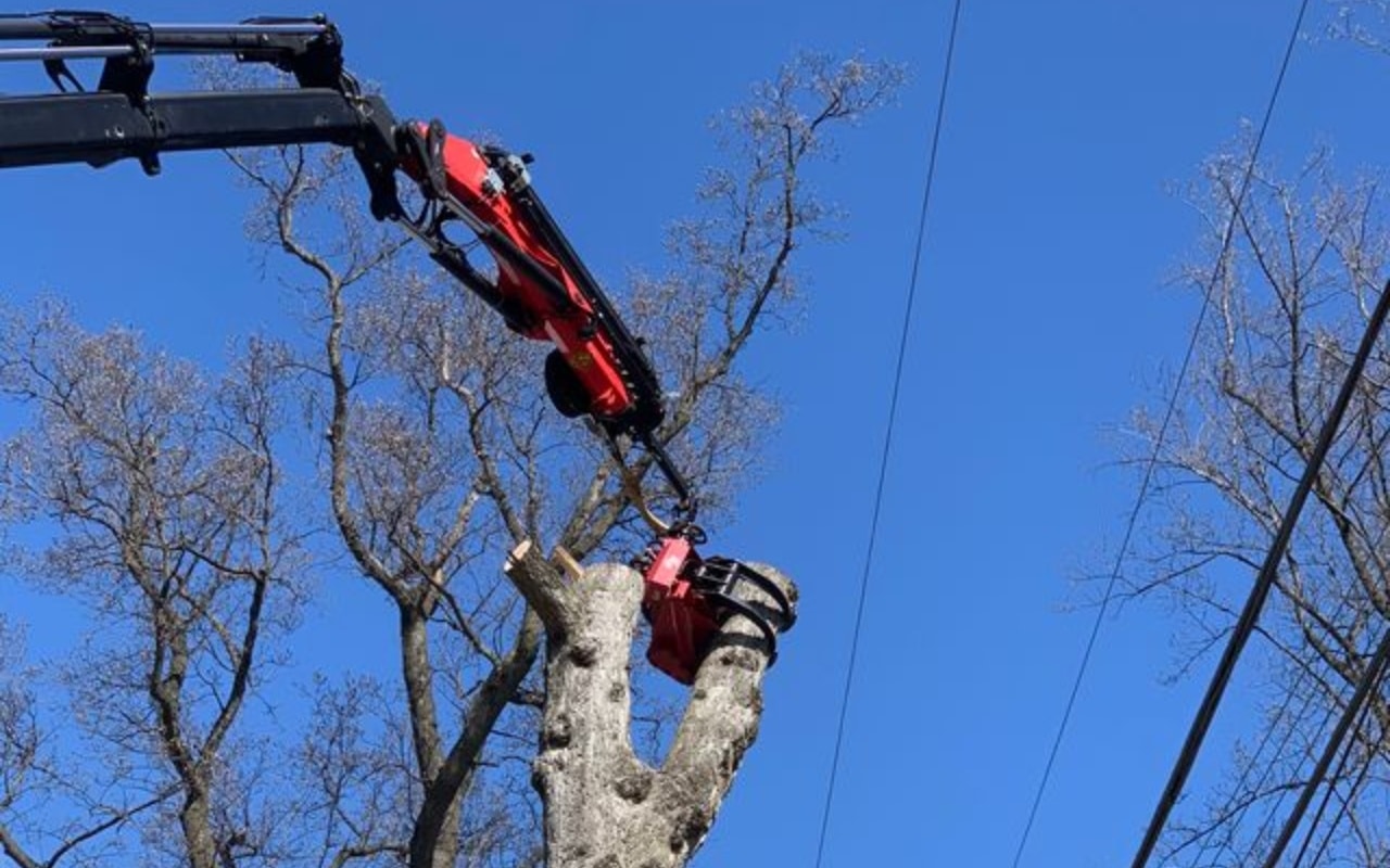 A red grapple saw crane carefully removes tree sections near power lines against a clear blue sky.