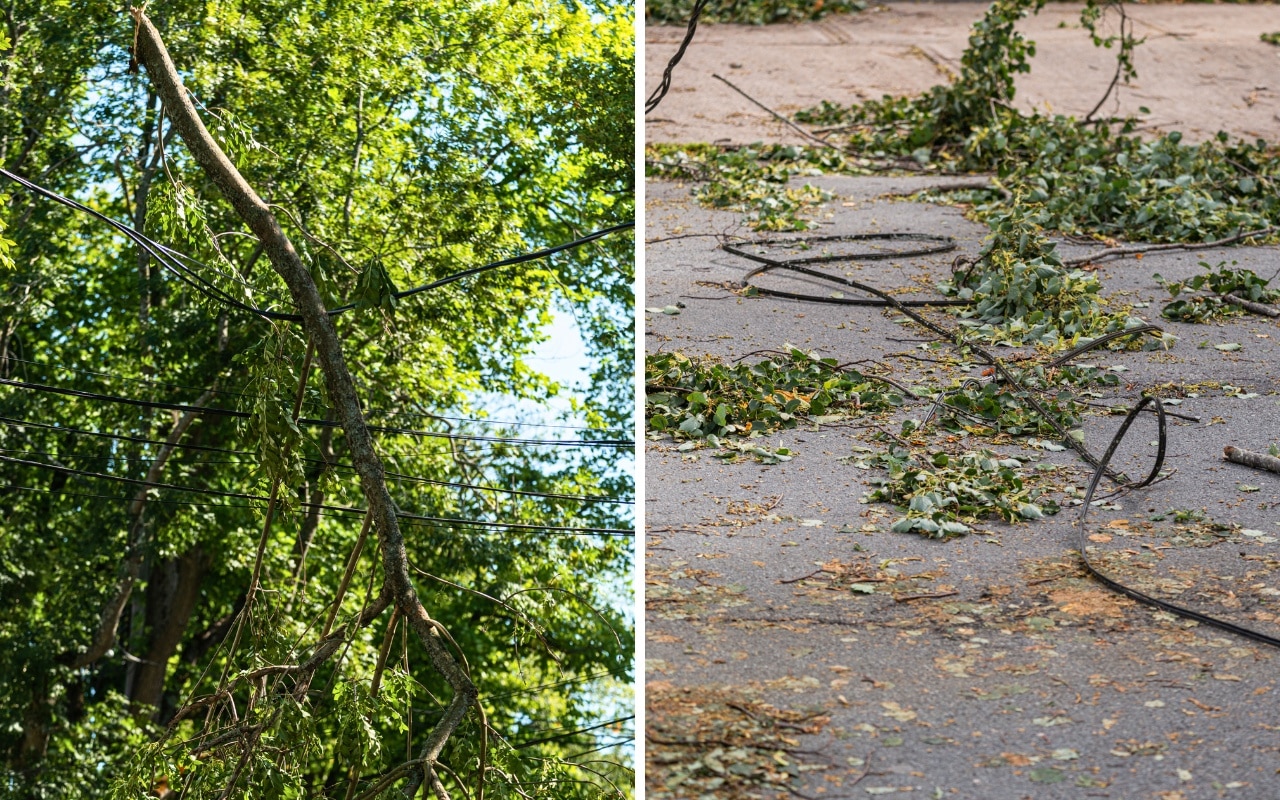 Tree branches grow dangerously close to power lines on the left while downed power lines and storm debris scatter across a street on the right.