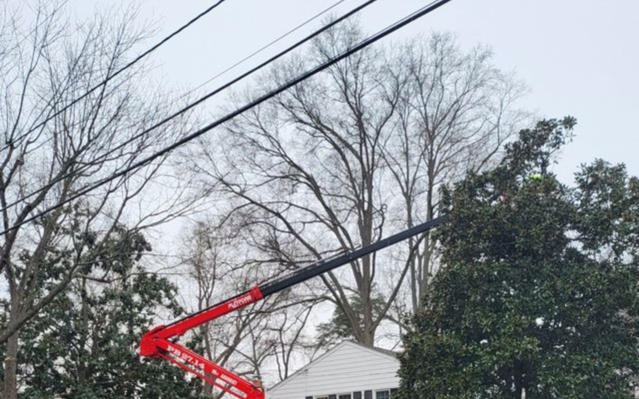 A red bucket truck lift extends toward bare winter trees near multiple power lines during professional tree service work.