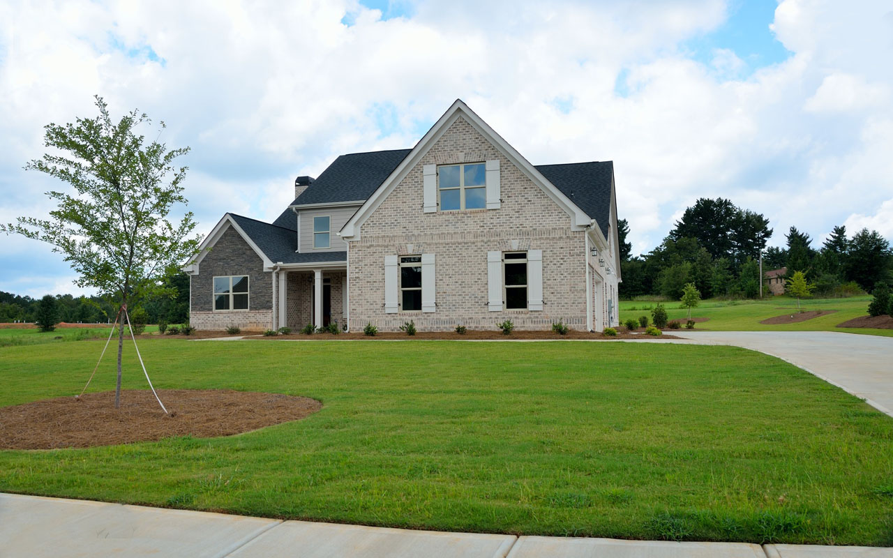 A tree is staked in front of a newly-built house. The tree is surrounded by mulch