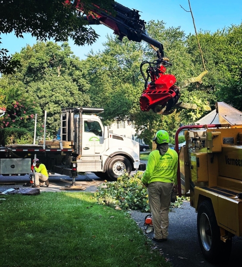 Green Vista Tree Care grappler saw, trucks and ground crew doing a tree removal in a residence in Northern Virginia.