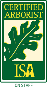 ISA Certified Arborist on Staff-green