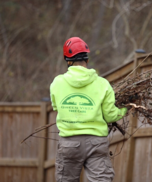 Green Vista Tree Care ground crew, cleaning up some branches after a tree removal on a property in VA.