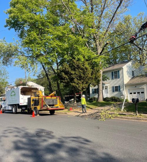 Ground crew working cleaning up pruned branches along a property in Fairfax County, VA