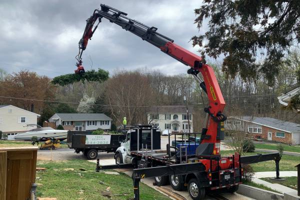 Tree crane mounting a trunk of a tree on a truck during a cloudy day in Northern Virginia.