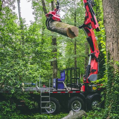 Tree crane accessing a very close-area with trees of a residence doing a tree removal.