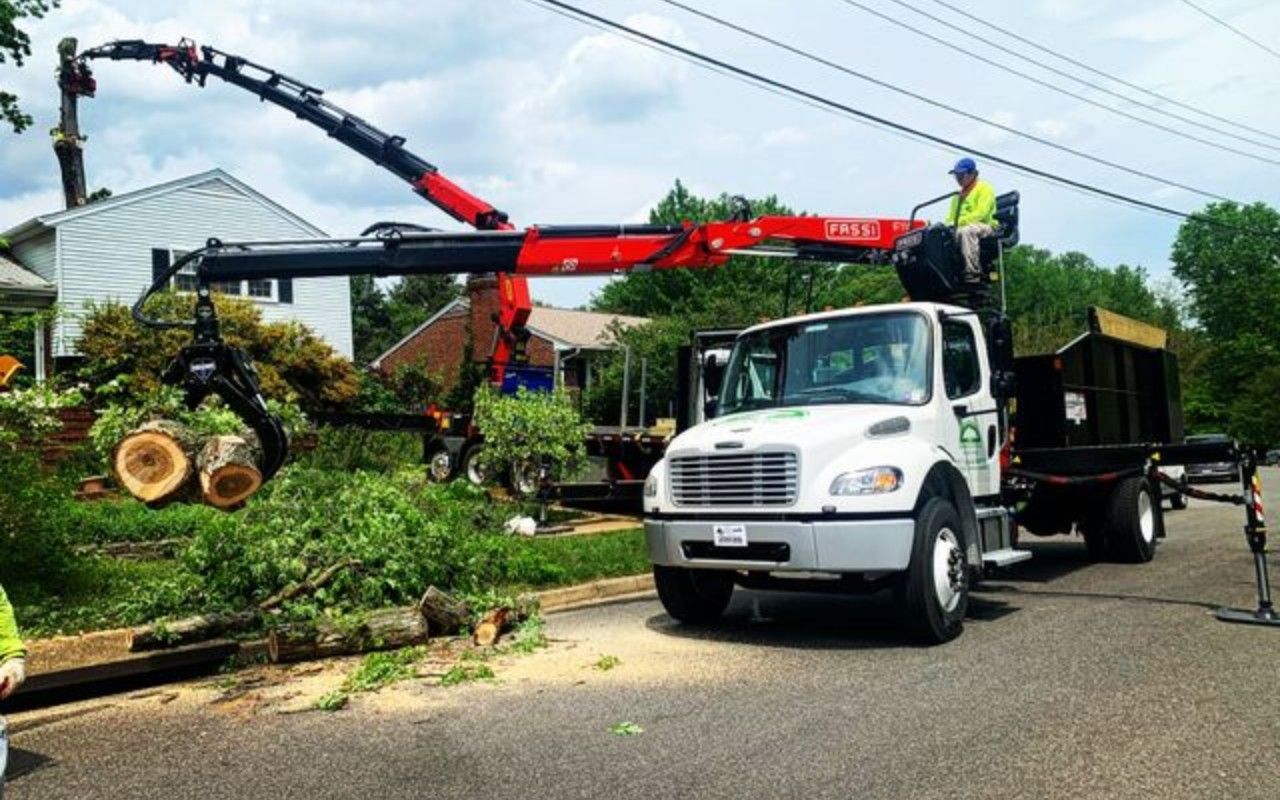 A Green Vista crane truck lifts cut trunk sections from a residential yard while an operator works from the controls.
