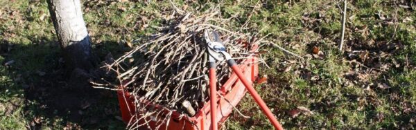 A lopper rests on a a box of tree branches as part of spring clean-up in a yard.