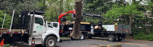 A grapple attached to a long knuckle boom crane holds a large section of tree trunk as the Green Vista log struck sits in a cul-de-sac waiting to be loaded.