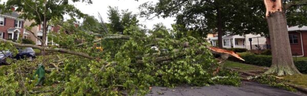 Fallen tree branches on a residential street after extreme weather ready for storm damage cleanup services.