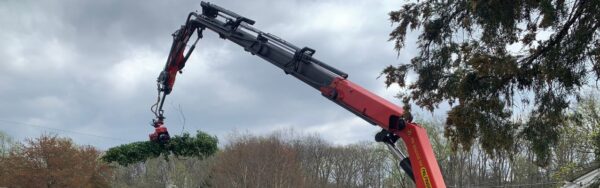 Grapplesaw crane with a log after a tree removed on a property during a cloudy day