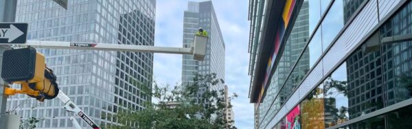 A member of the Green Vista Tree Care team trimming an urban tree from a bucket truck in Arlington, VA.