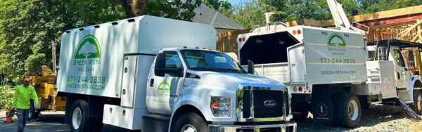 The Green Vista team pruning a tree from a bucket truck with a woodchipper on site in Fairfax, VA.