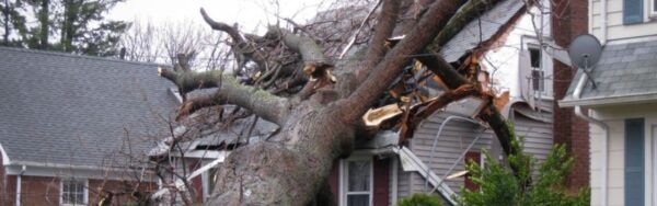 A large storm-damaged tree completely crushing a roof and structure of a Northern Virginia home requiring emergency tree removal.