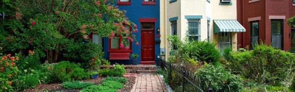 Homes in the Washington, D.C. are with trees and shrubs