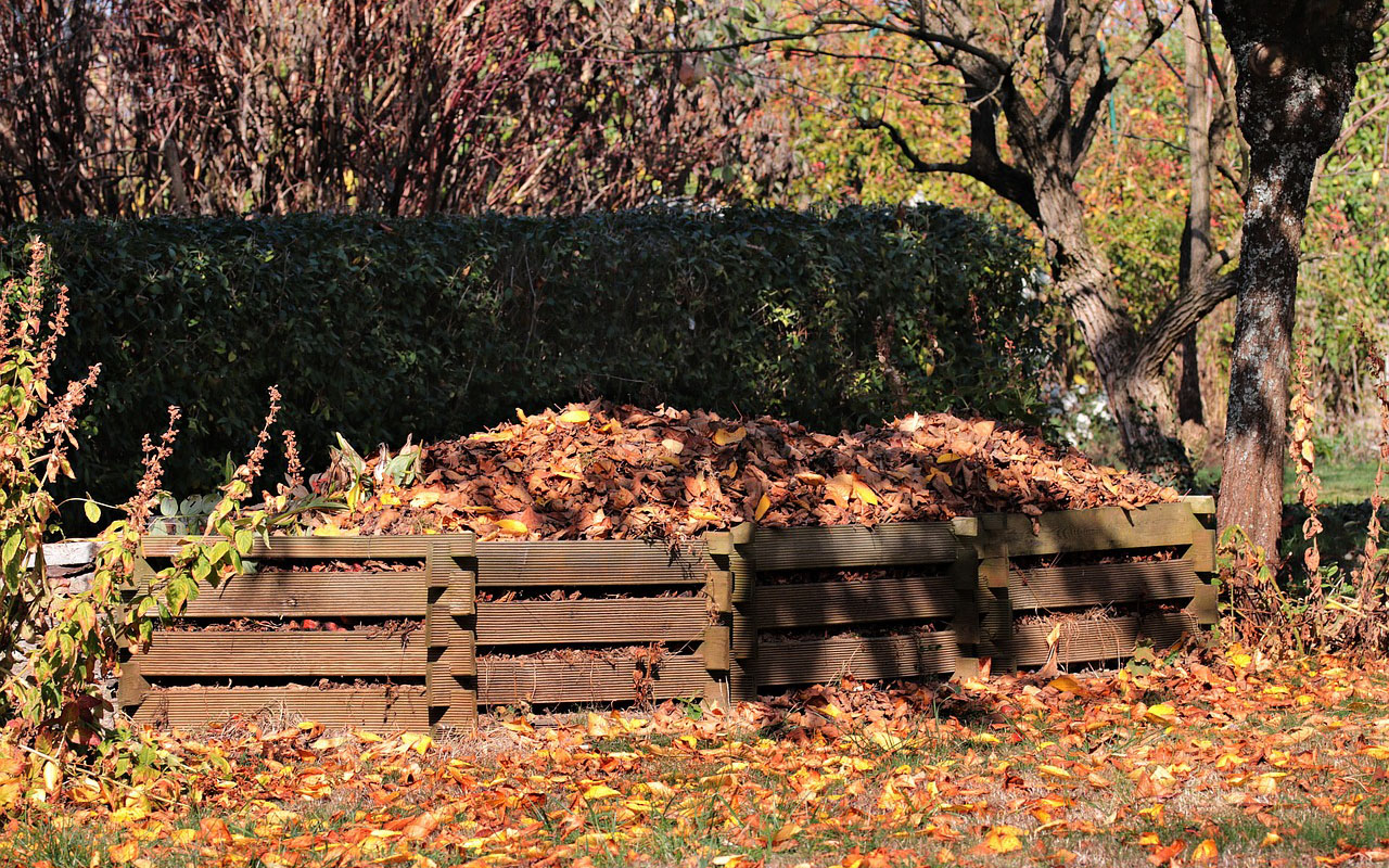 fall leaves compost